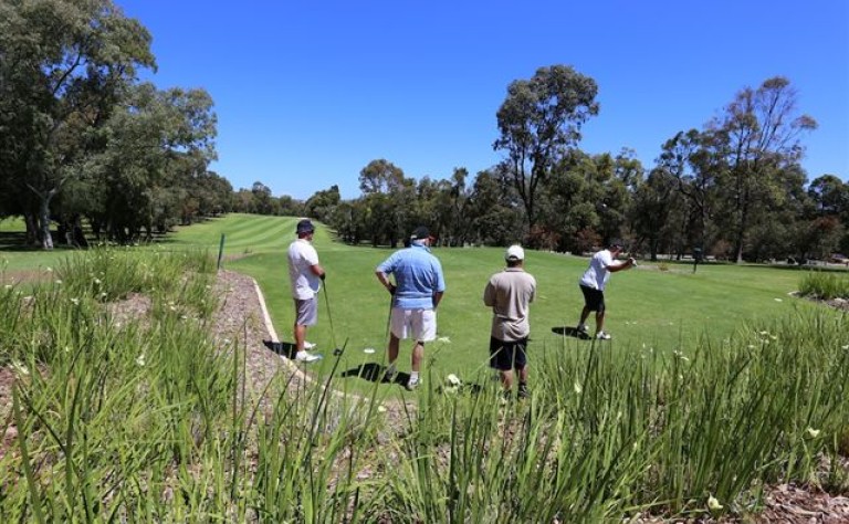 point walter golf players bucks