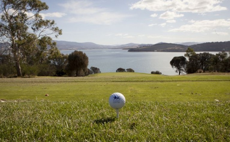 tasmania golf ball bucks