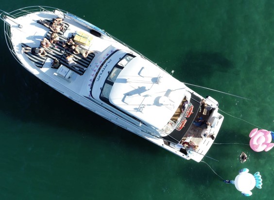 Boat cruise sydney overhead