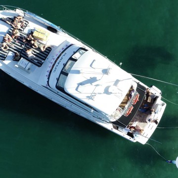 Boat cruise sydney overhead